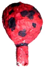 Mexican maracas craft