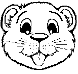 Beaver craft