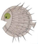 puffer fish craft