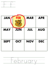 groundhog's day tracer pages