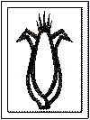 kwanzaa coloring pages