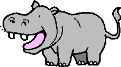 hippo
