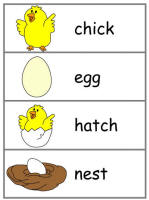 word wall words