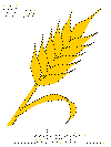 wheat tracer pages