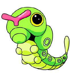 caterpie