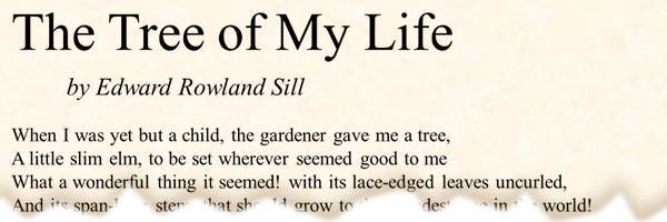 printable poetry template in Times Roman font