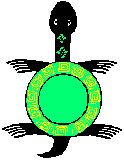 Aboriginal Art Turtle