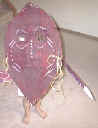 Africa mask craft