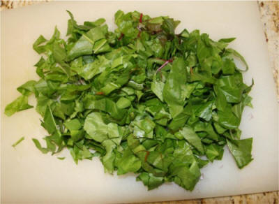 Fresh from the garden! Swiss chard for our colcannon recipe.