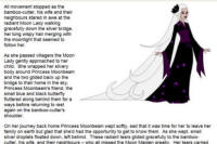 The Moon Maiden