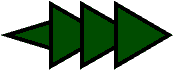 Thistle leaf