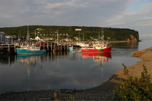 Boats at high tide in Alma, New Brunswick.