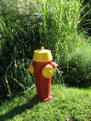 Kaitlyn's photo of a fire hydrant.