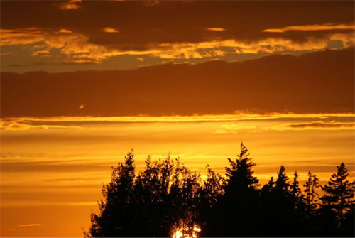 Sunset on the drive home.