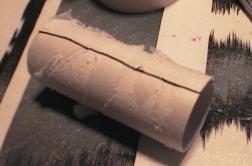 dolphin craft