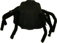 spider craft