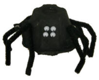 spider craft