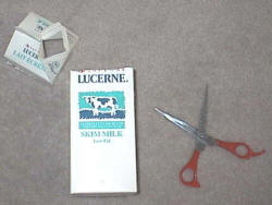 mardi gras craft