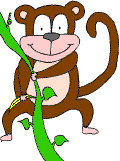 monkey