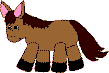 donkeys