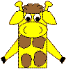 giraffes