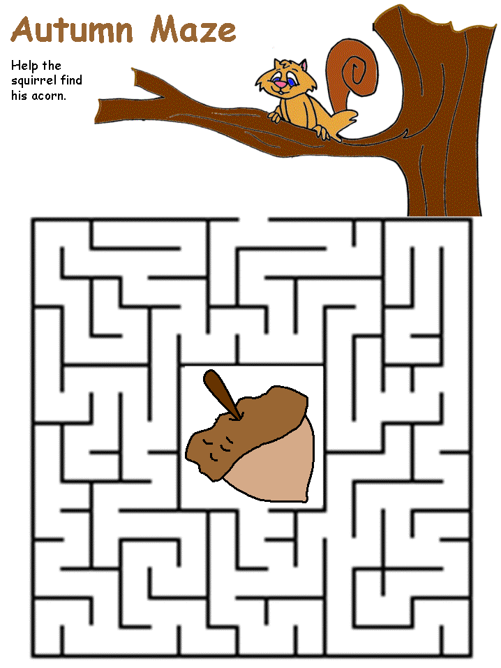 squirrel maze