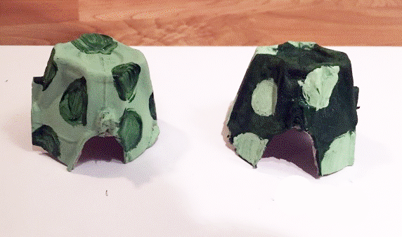 Egg Carton Turtle Craft