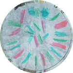 jellyfish craft