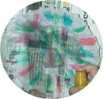 jellyfish craft