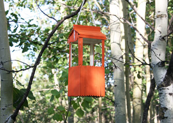 Popsicle Stick and Milk Carton Bird Feeder