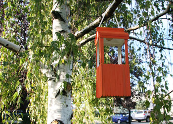 popsicle stick bird feeder craft
