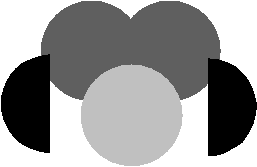 circle dog craft