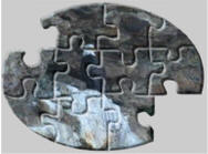 bald eagle jigsaw puzzles