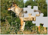 Forest animal jigsaw puzzles