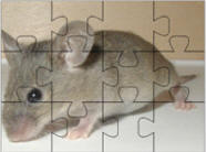 Mouse jigsaw puzzles