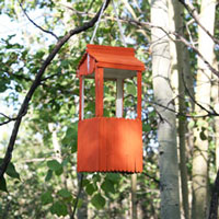 Bird Feeder Craft