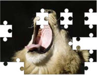 lion jigsaw puzzles
