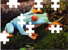 frog jigsaw puzzles
