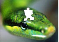 snake puzzles