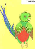 quetzal craft