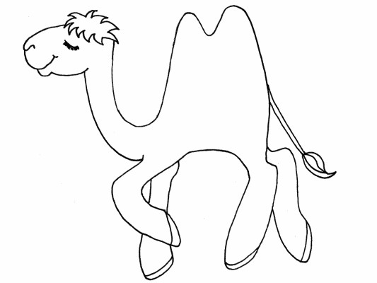 camel coloring page