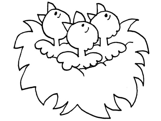 chick coloring page