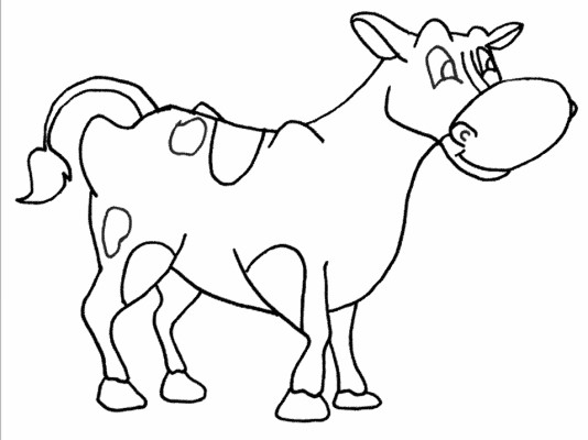 cow coloring page