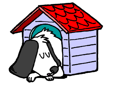 dog sleeping in a dog house