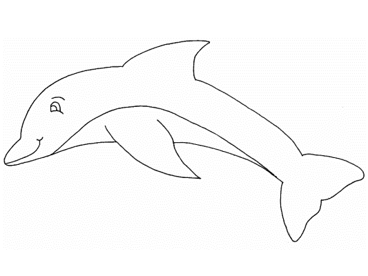 dolphin coloring page