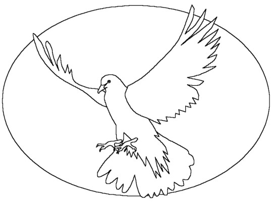 dove coloring page