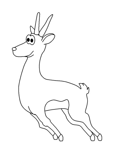 gazelle coloring page