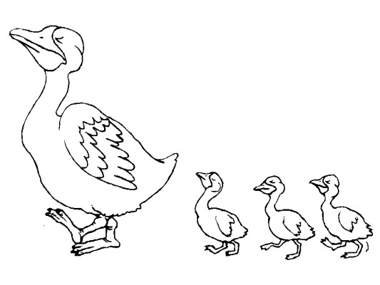 goose coloring page