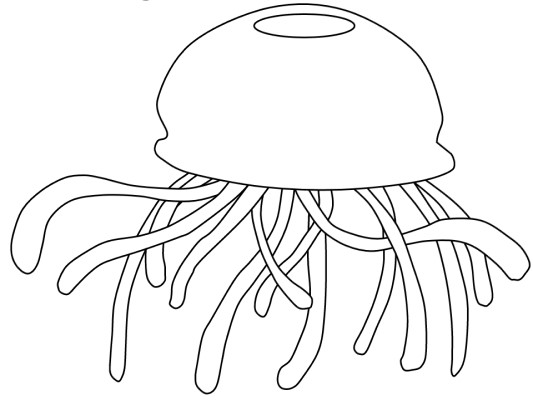 jellyfish coloring page