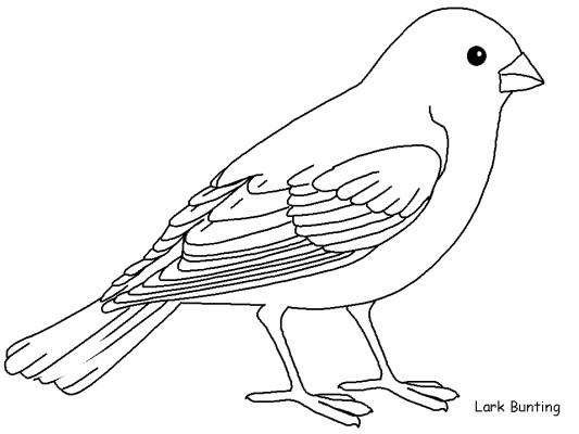 Bunting Lark coloring page